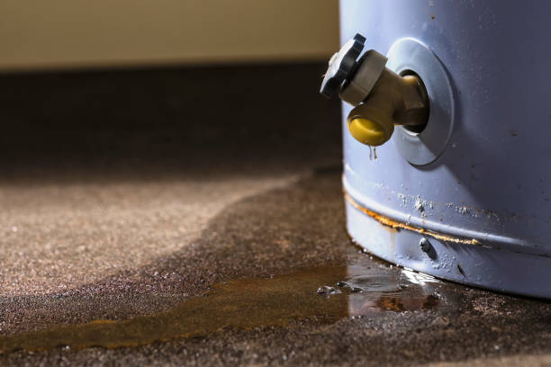 Best Residential water damage restoration  in North Lauderdale, FL
