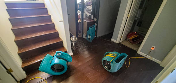Best Sewage cleanup and water damage restoration  in North Lauderdale, FL