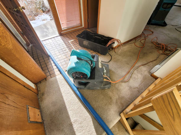 Best Flood restoration services  in North Lauderdale, FL