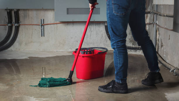 Best Flooded house restoration  in North Lauderdale, FL