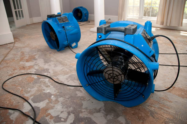 Best Professional water damage repair  in North Lauderdale, FL