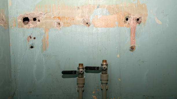Best Fire Damage Restoration  in North Lauderdale, FL