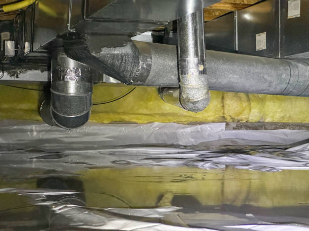Best Water damage contractors near me  in North Lauderdale, FL