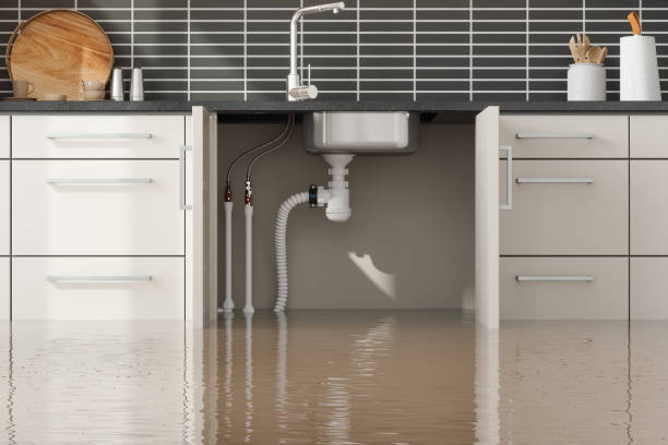 Best Emergency water extraction  in North Lauderdale, FL