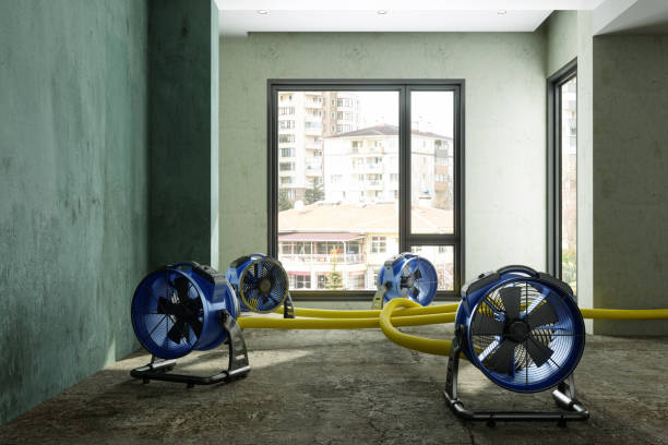 Best Ceiling water damage repair  in North Lauderdale, FL